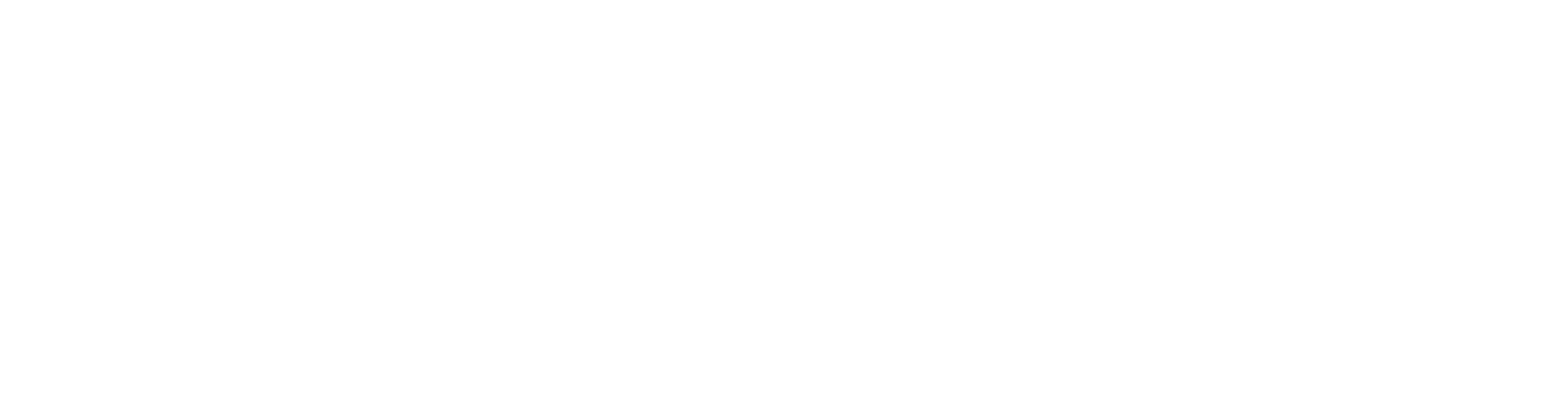 Health Link Home Healthcare Consultants